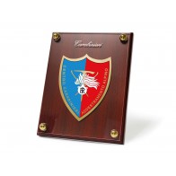 QUADRO ADDESTRAMENTO ALPINO