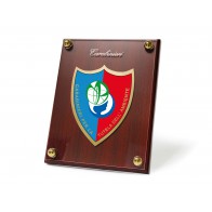 QUADRO TUTELA AMBIENTE